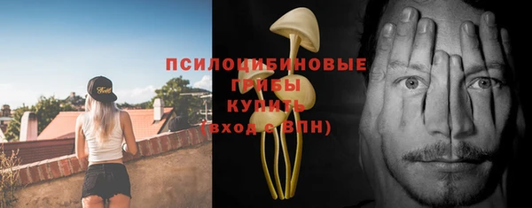 PSILOCYBIN Аркадак