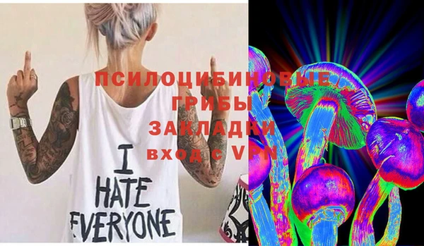 PSILOCYBIN Аркадак